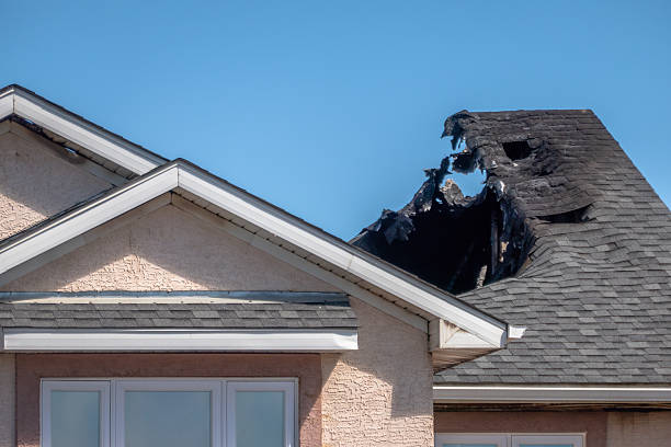 Top rated local Fire Board Up specialists in Cave Creek, AZ